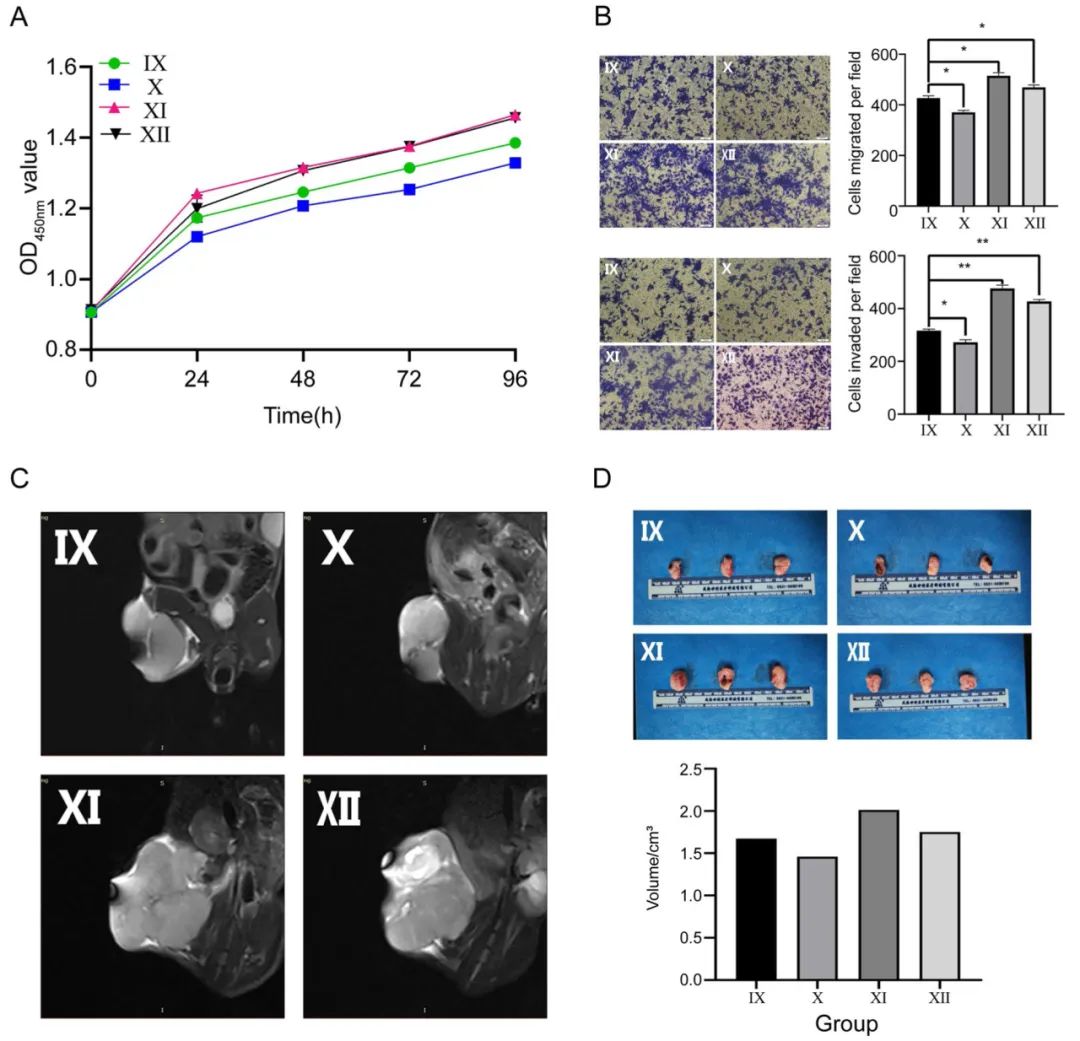 miRNA研究进展盘点丨20230721期