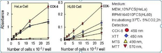 细胞增殖实验服务