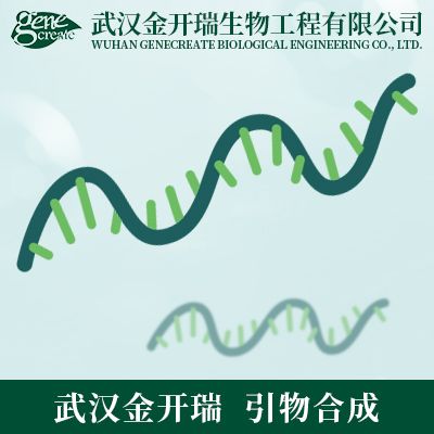 RNA合成（单链RNA合成、双链RNA合成、RNA修饰及标记、siRNA、miRNA mimics合成）