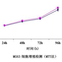 MTT增殖检测