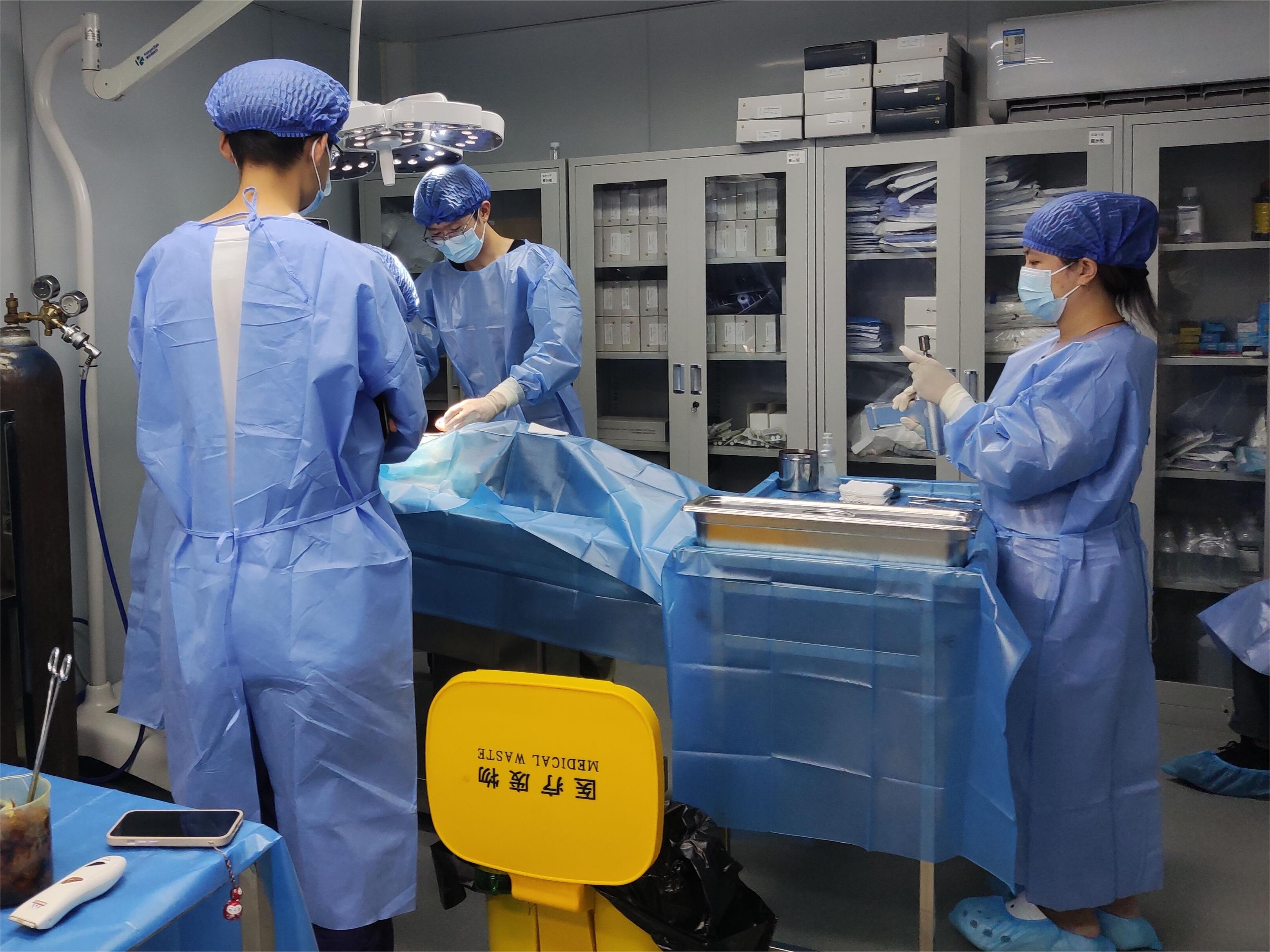 企业培训丨筑牢企业技术支持 国晟中源举办动物麻醉规范培训会