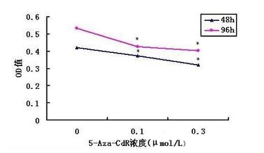 细胞增殖实验服务