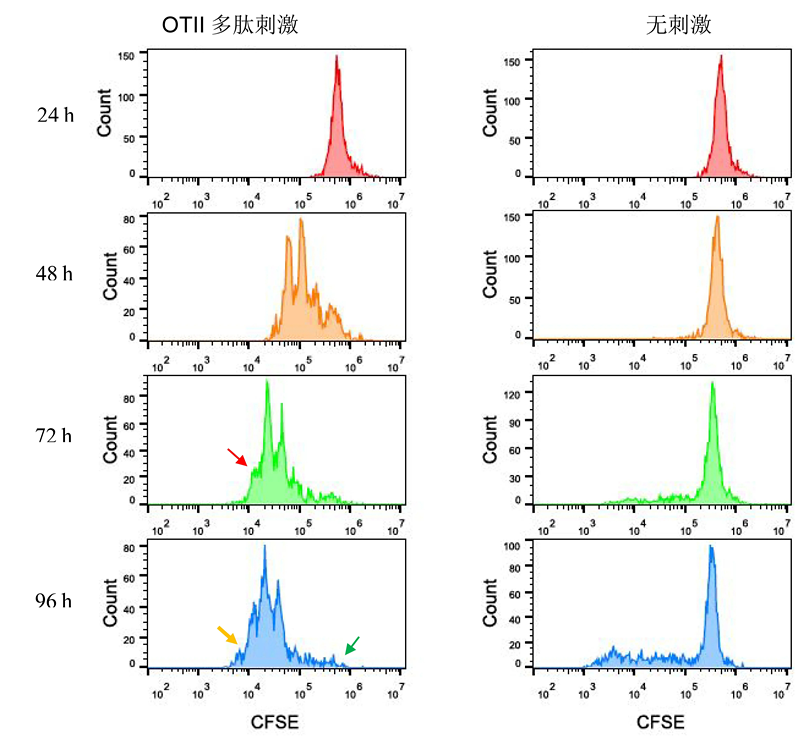 CFSE检测增殖-流式检测