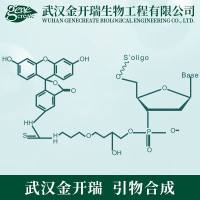 修饰引物合成| 修饰/标记引物合成| 特殊修饰和结构 oligo定制服务| oligo化学合成（引物合成）服务