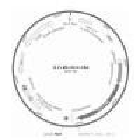 siRNA敲减-pcr验证