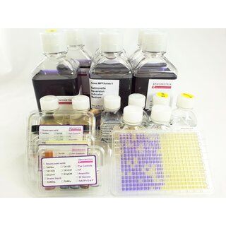 Ames MPF 98/100 - 1 Sample Kit for Ames Test with 2 Strains (incl. PB/NF induced S9 and positive controls)