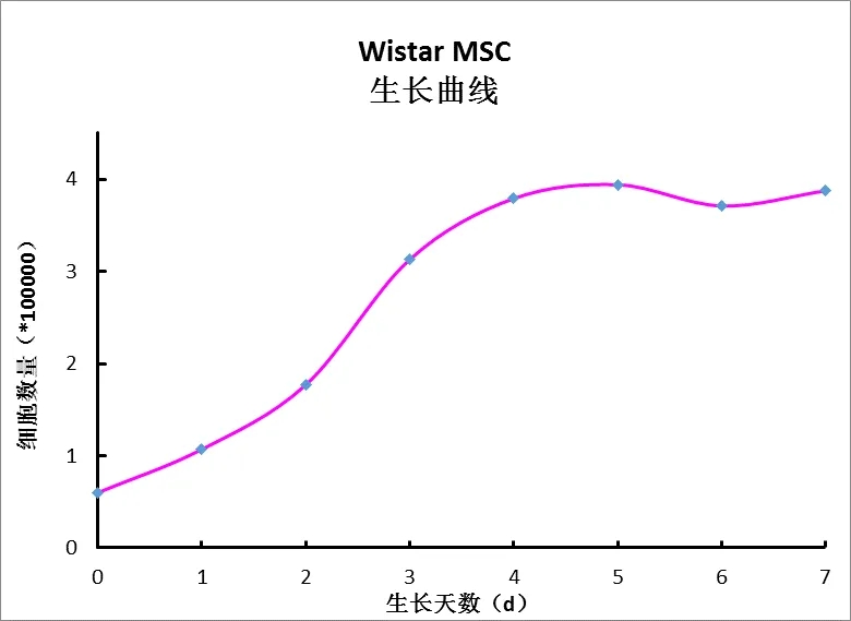 细胞生长曲线的测定