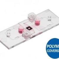 µ-Slide ibiPore SiN：可视化的transwell细胞侵袭 85216-S