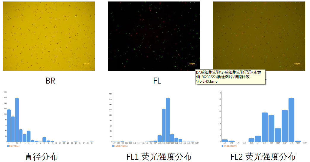 单细胞转录组测序