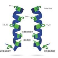 蛋白质组学检测