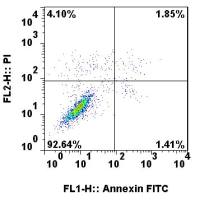 细胞、组织TUNEL凋亡染色实验服务