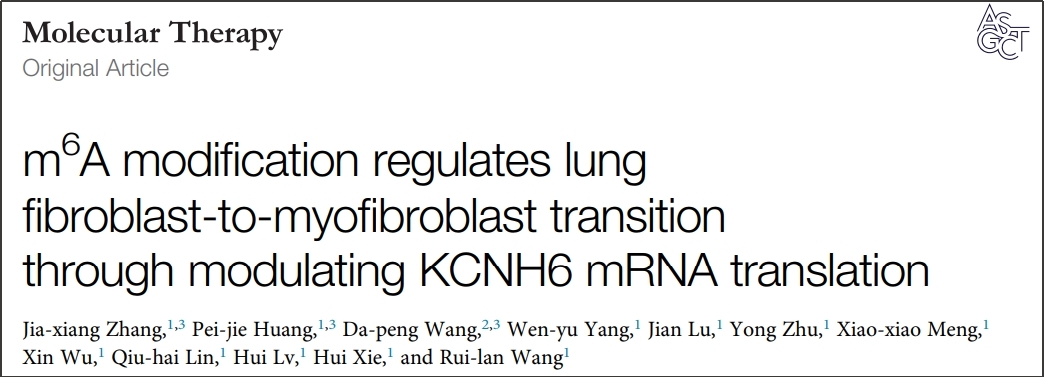 Mol Ther. | m6A修饰携手翻译组学技术研究FMT调节的作用机制