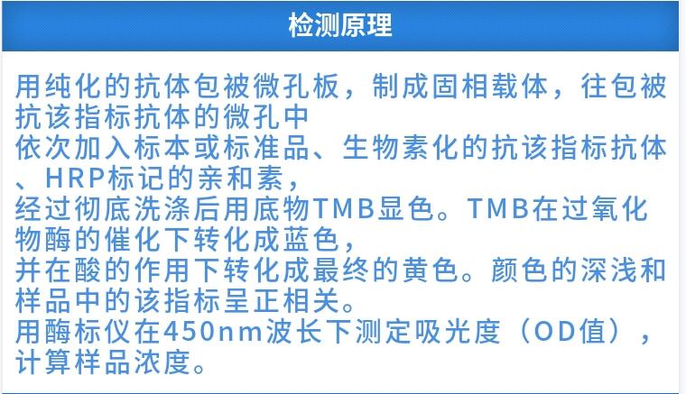 CD15CD15分子ELISA试剂盒