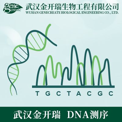 一代测序| DNA测序| 基因测序| 快速、优质、稳定