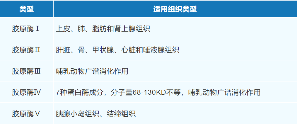组织单细胞制备