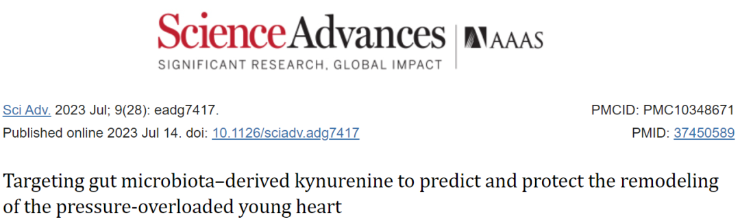 无菌鼠助力先心病患儿心室重构相关研究登上Science子刊