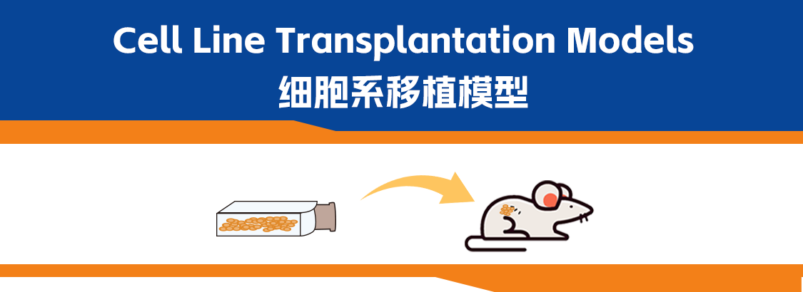 癌症研究模型工具箱，选对才是翻盘关键！