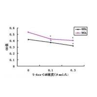 细胞增殖实验服务