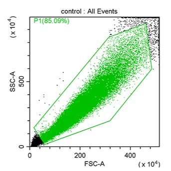 线粒体ROS生物含量检测-流式