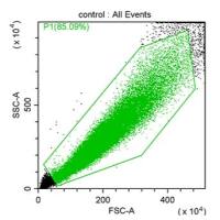 线粒体ROS生物含量检测-流式