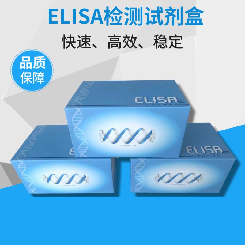 NK自然杀伤细胞ELISA试剂盒