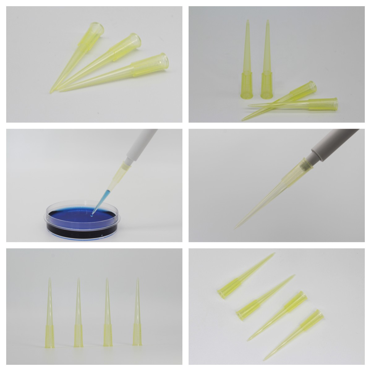 本生小课堂：对于移液器吸头您了解多少