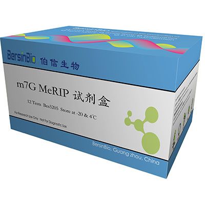 m7G MeRIP试剂盒(含m7G抗体) （m7G MeRIP Kit，12T）