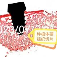 （种植体样本）硬组织切片及VG染色钛合金硬组织切片
