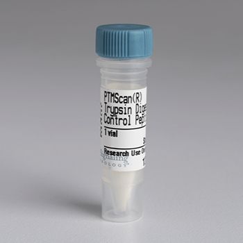 UV Induced DNA Damage Response Antibody Sampler Kit
