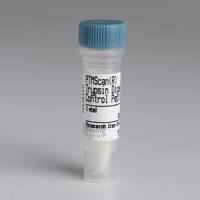 Mouse Reactive Cell Death and Autophagy Antibody Sampler Kit