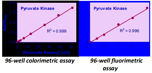 Assay Genie丙酮酸激酶活性测定试剂盒