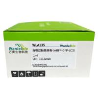 自噬双标腺病毒(mRFP-GFP-LC3)-1ml