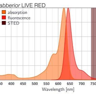 abberior LIVE RED，活细胞微管/肌动蛋白/DNA荧光染剂