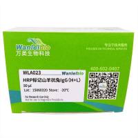 HRP标记山羊抗兔 IgG（H+L）-100μl