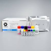 金*黄色葡萄球菌肠毒素ELISA定量检测试剂盒