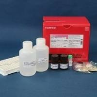 高灵敏度Mature BDNF ELISA试剂盒