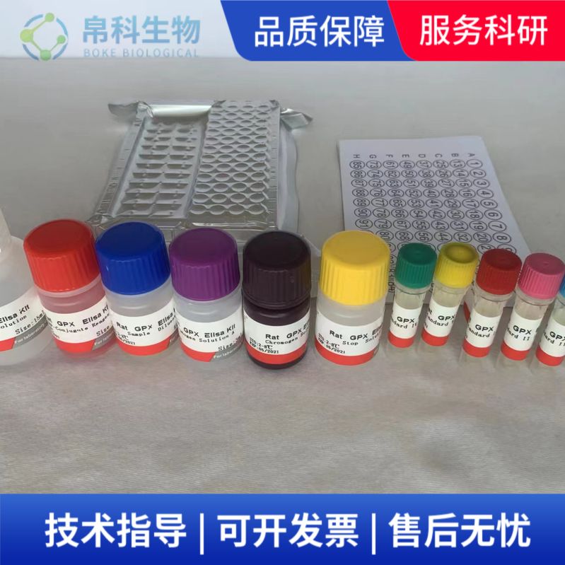 非蛋白质巯基生化检测试剂盒