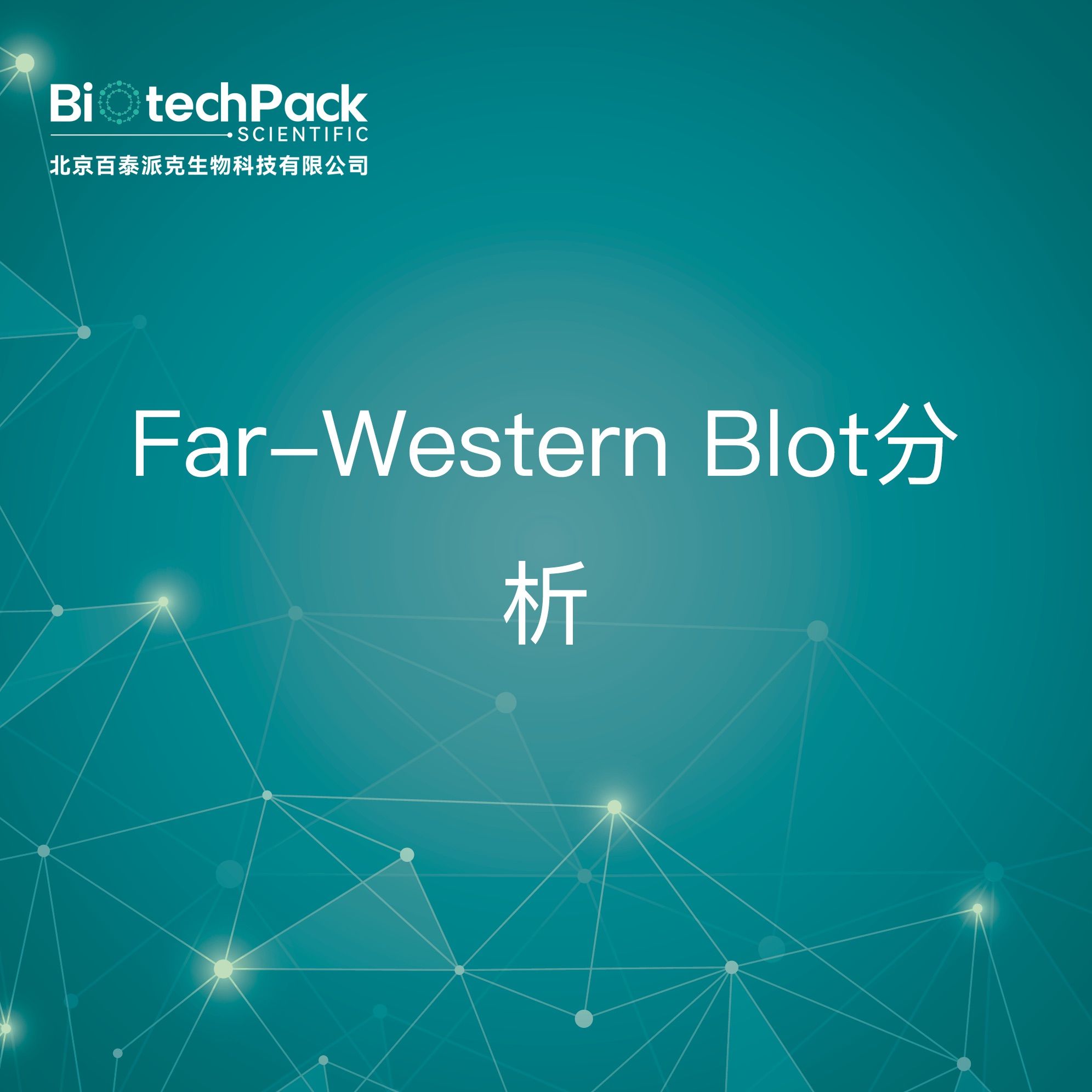 Far-Western Blot分析检测技术服务