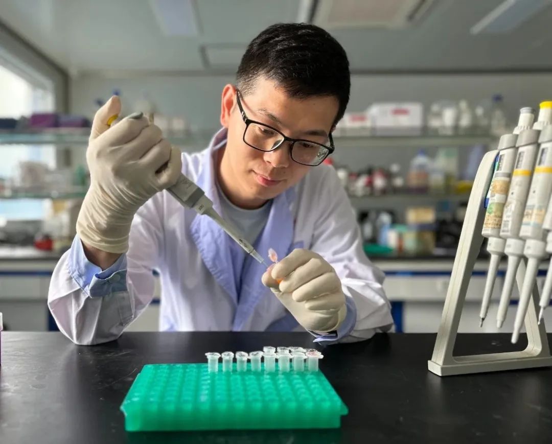 张冲博士在国际权威杂志 JECCR 发表肝癌肺转移前微环境变化最新研究成果