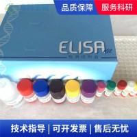 羧酸酯酶（CarE）生化检测试剂盒