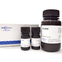 荧光微球（免疫层析）