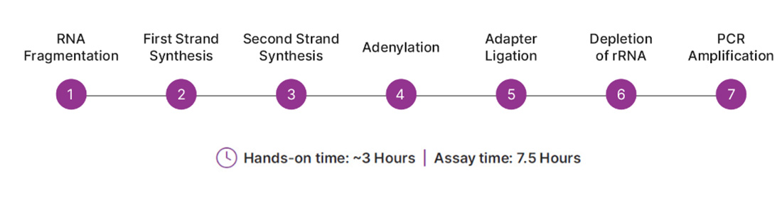 CRISPRclean Stranded Total RNA