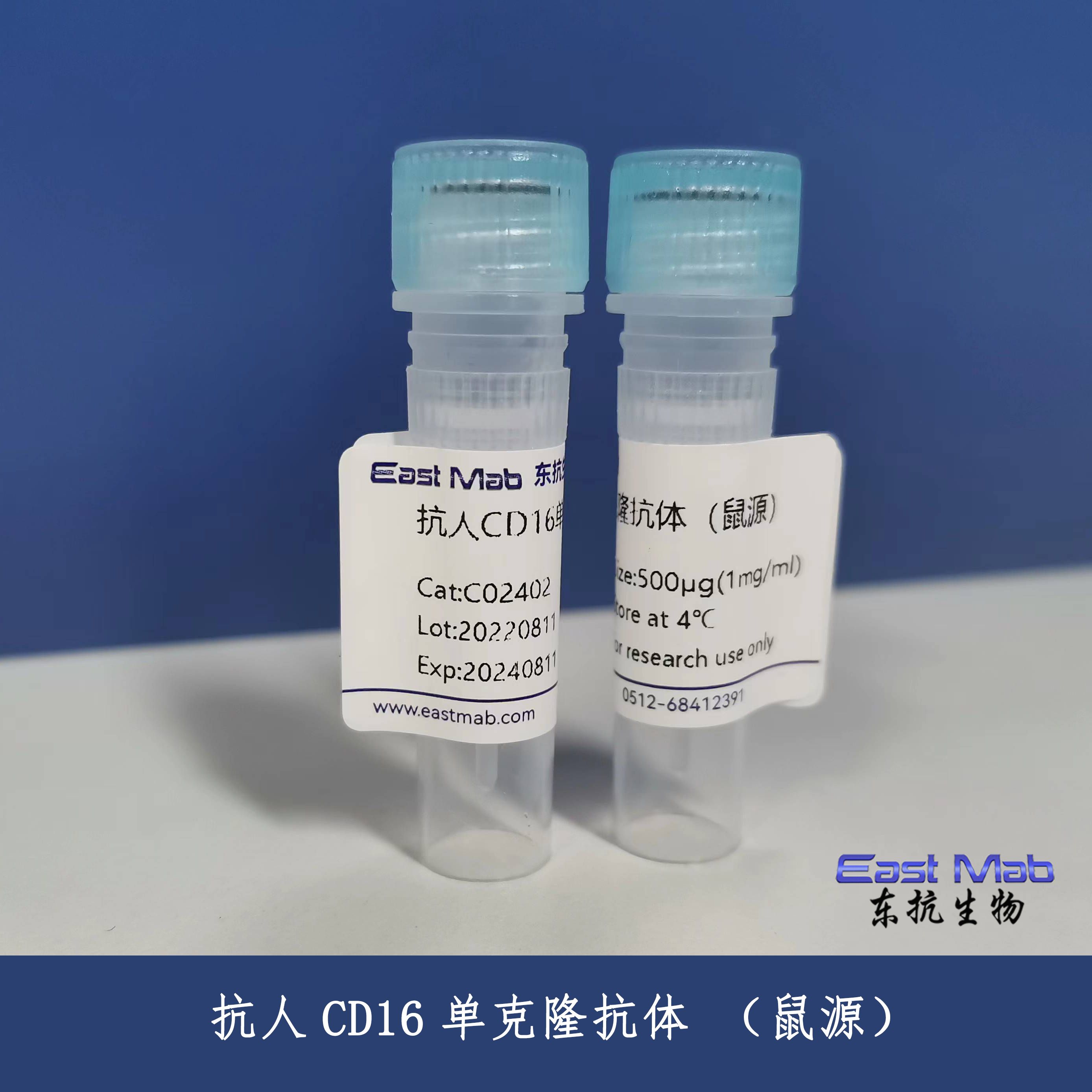 抗人CD16单克隆抗体(CD16)