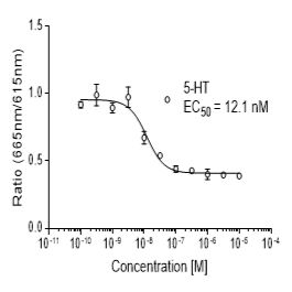 Mouse 5-HT6 (HTR6)受体稳定表达细胞株