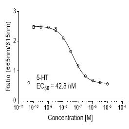 Rat M1 (CHRM1)受体稳定表达细胞株