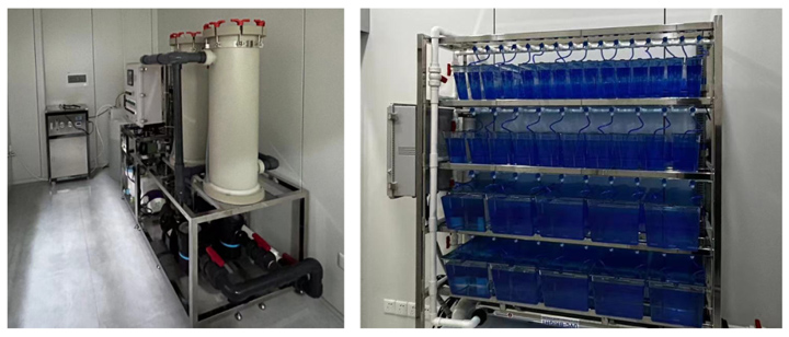 构建斑马鱼研究平台，助力医生打开临床科研新思路