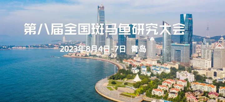 新闻图片2