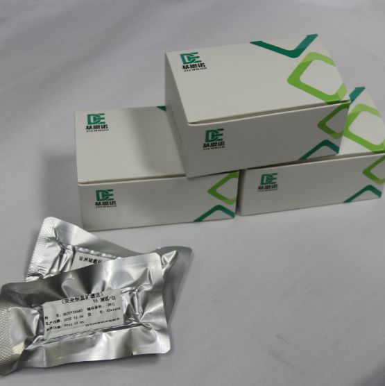 RNA恒温扩增反应试剂盒（试纸条型）