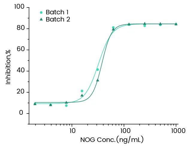 神经系统疾病研究的新兴工具：脑类器官