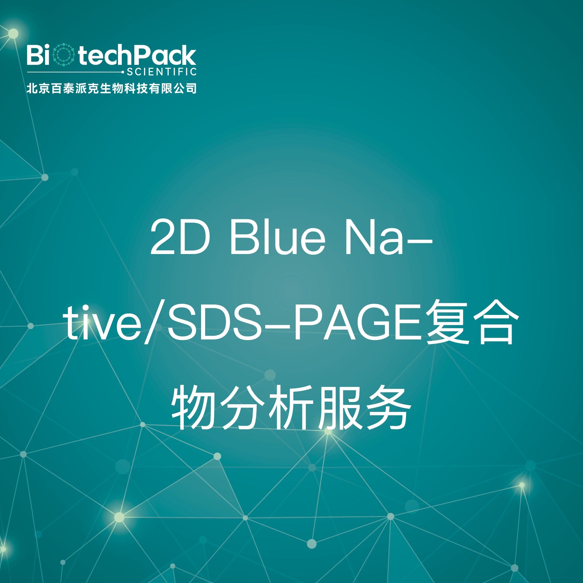 2D Blue Native/SDS-PAGE复合物分析服务